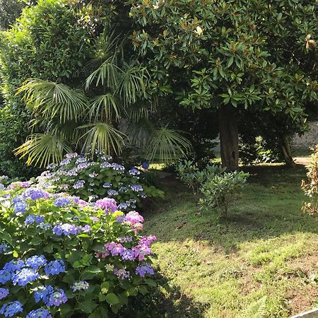 Appartamento La Camelia Ameno Extérieur photo