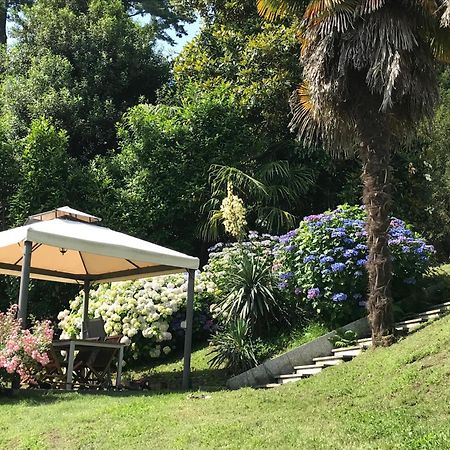 Appartamento La Camelia Ameno Extérieur photo