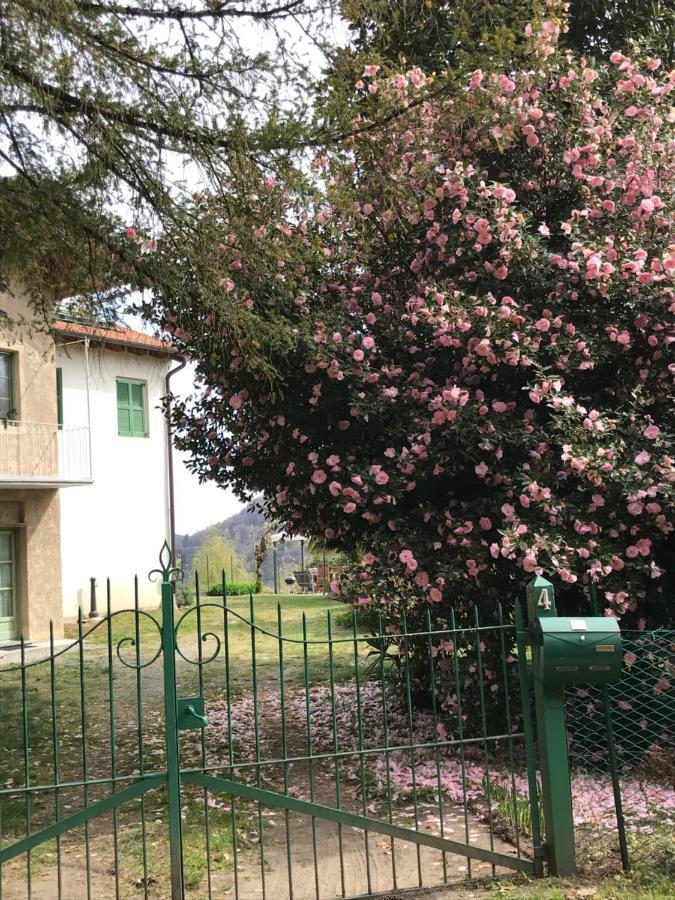 Appartamento La Camelia Ameno Extérieur photo