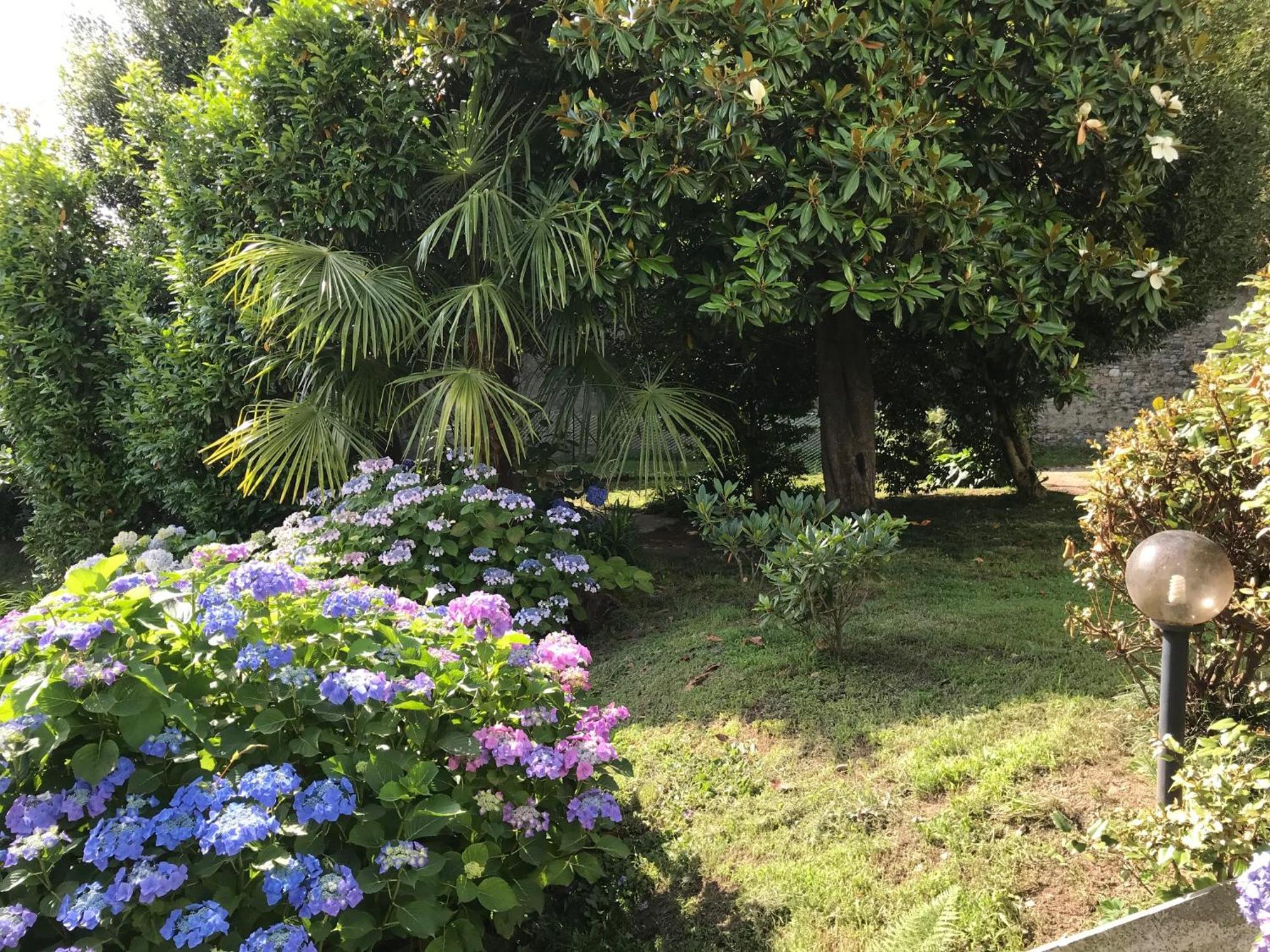 Appartamento La Camelia Ameno Extérieur photo