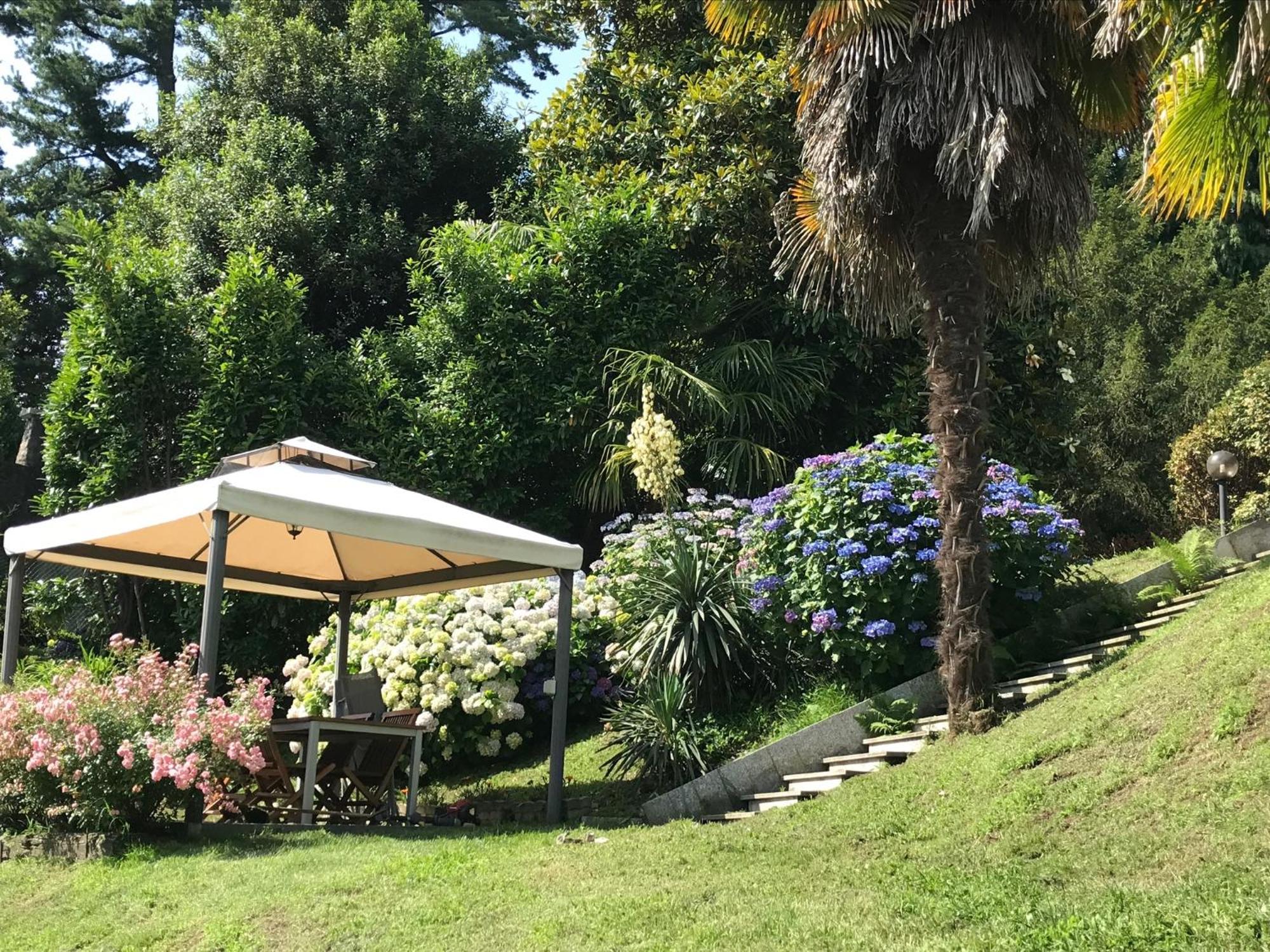 Appartamento La Camelia Ameno Extérieur photo